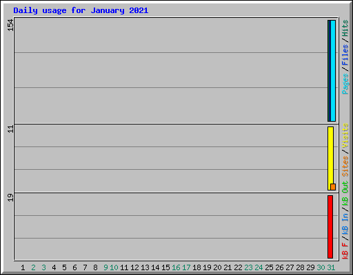 Daily usage for January 2021
