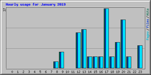 Hourly usage for January 2019