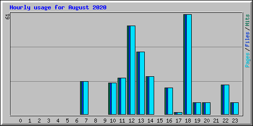 Hourly usage for August 2020