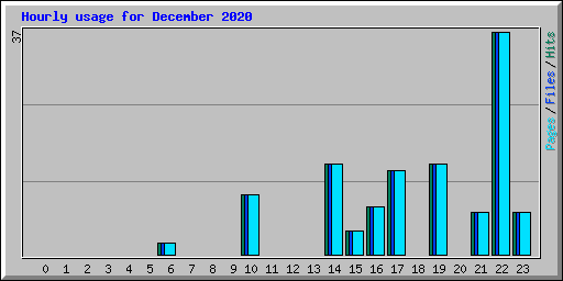Hourly usage for December 2020
