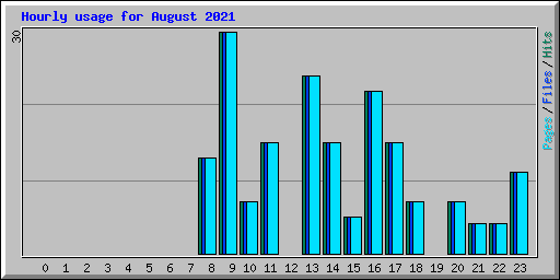 Hourly usage for August 2021