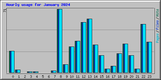 Hourly usage for January 2024