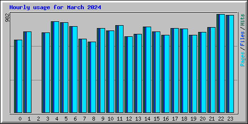 Hourly usage for March 2024
