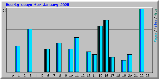 Hourly usage for January 2025