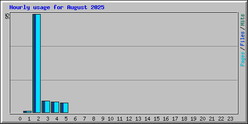 Hourly usage for August 2025