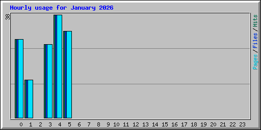 Hourly usage for January 2026
